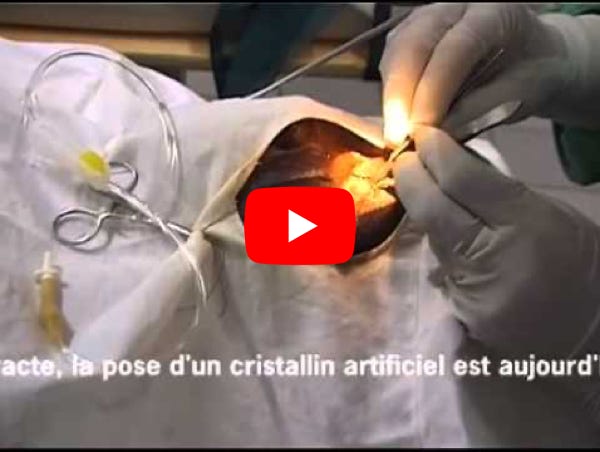 Lire la vidéo